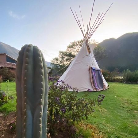 Sonqo Andino Hospedaje Medicina Pisac Eksteriør billede