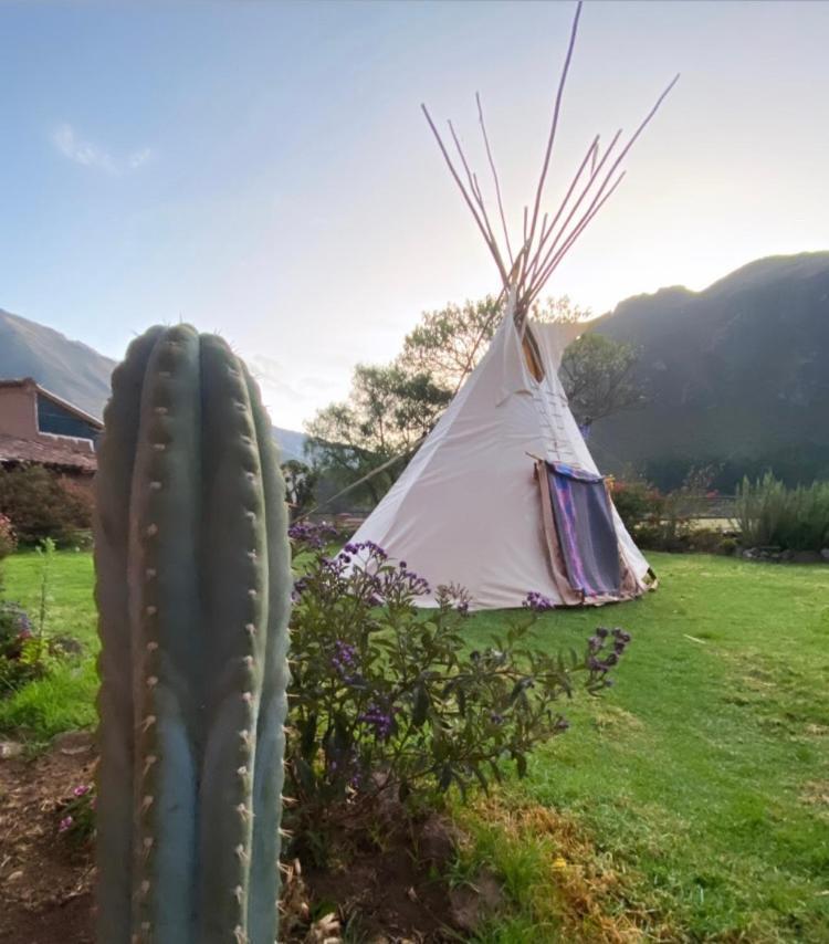 Sonqo Andino Hospedaje Medicina Pisac Eksteriør billede